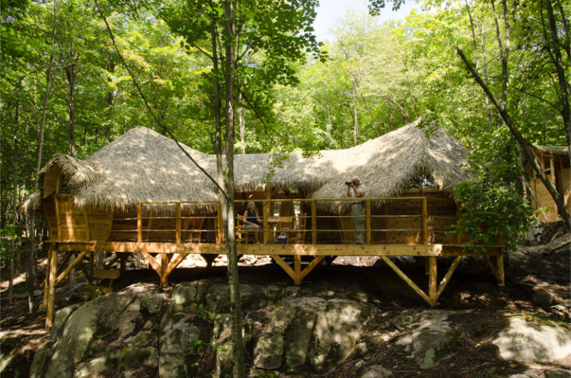 Maison sur pilotis au Parc Omega