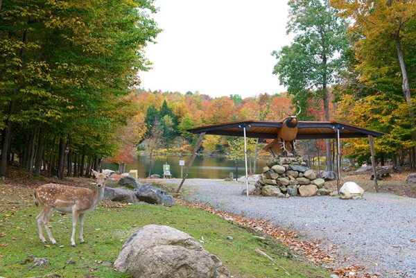 Sentier des Nations au Parc Omega