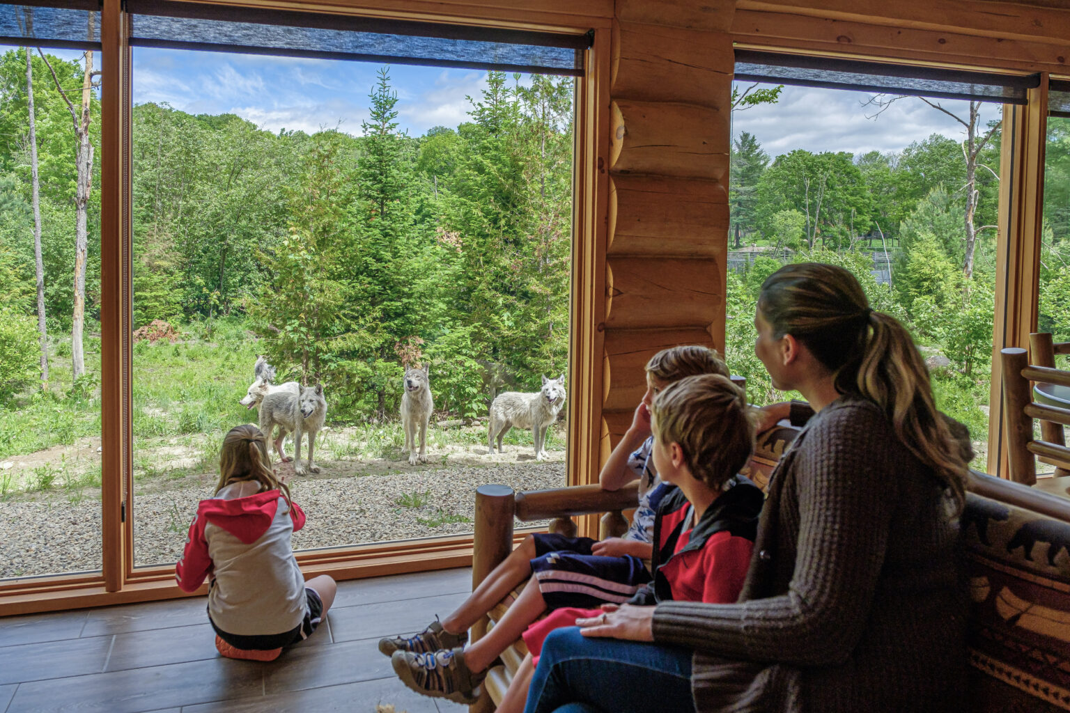 Lodge des loups au Parc Omega