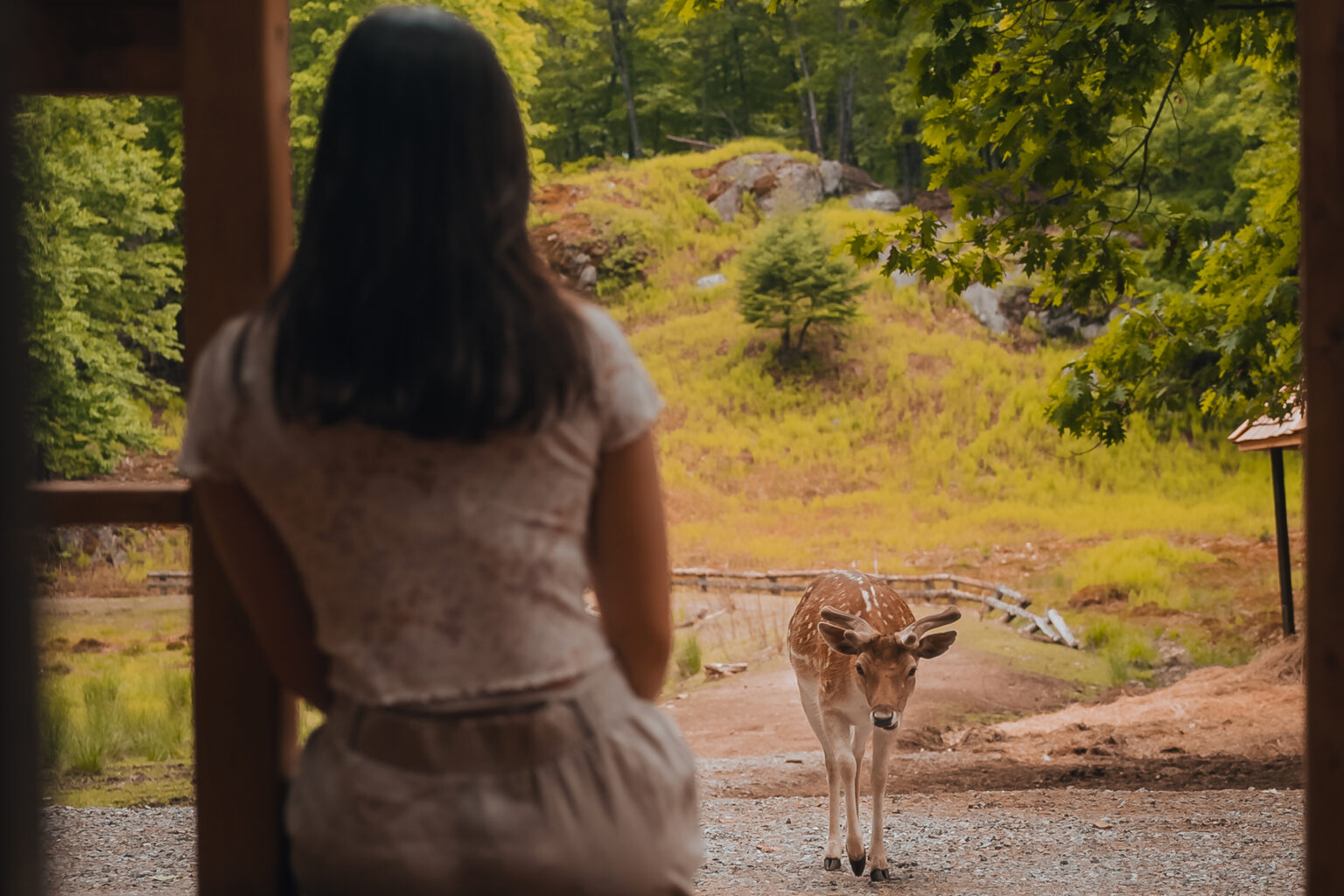 Pod au Parc Omega