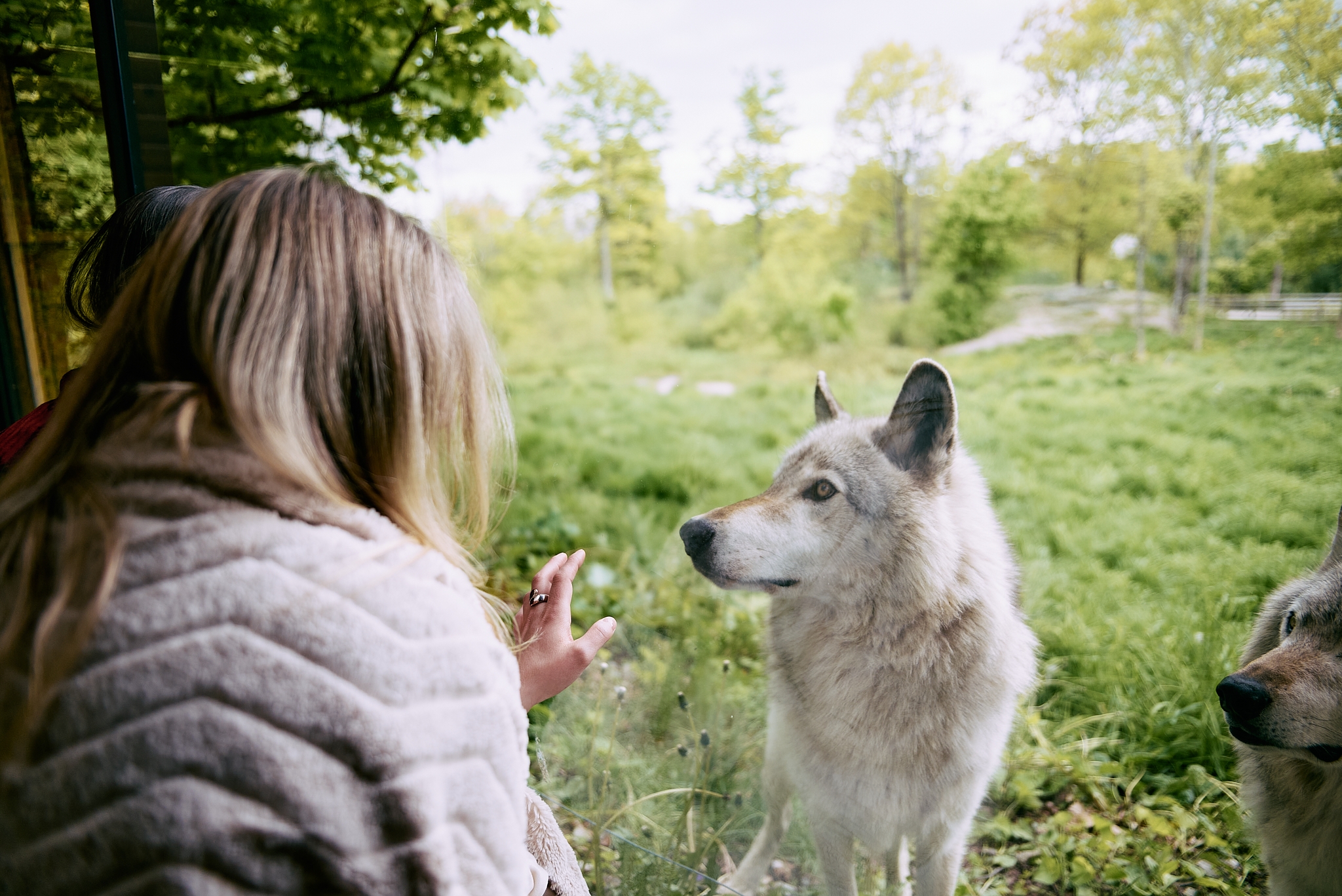 Hébergement au Parc Omega